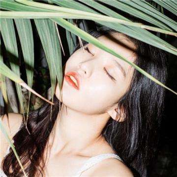 澳门2023全年免费资料大全手机app下载